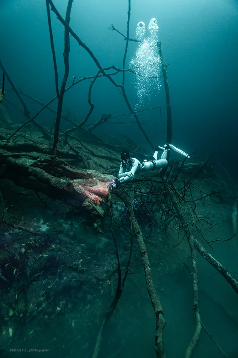 Diving in the cenotes of Playa del Carmen