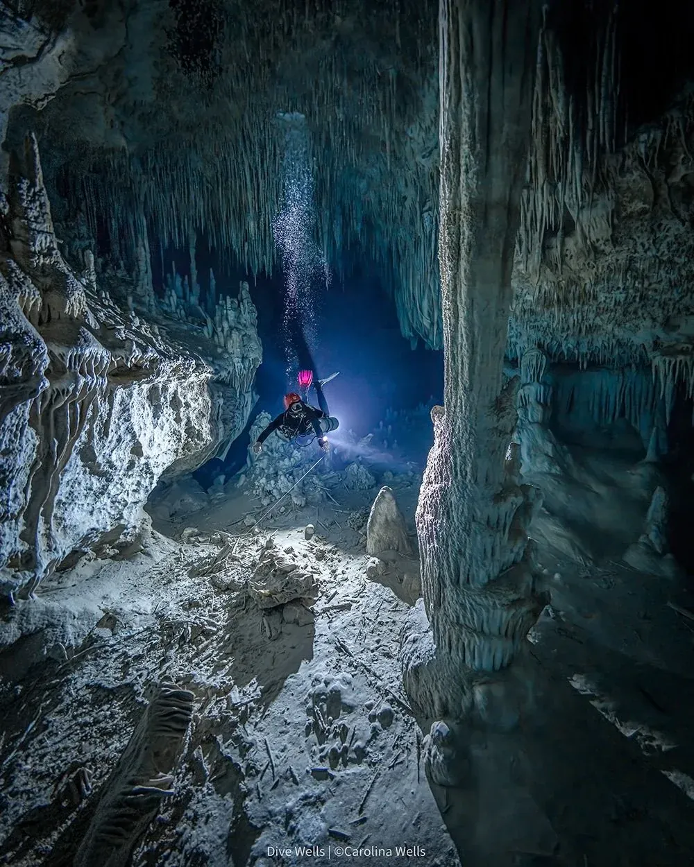 Cenotes de la Riviera Maya