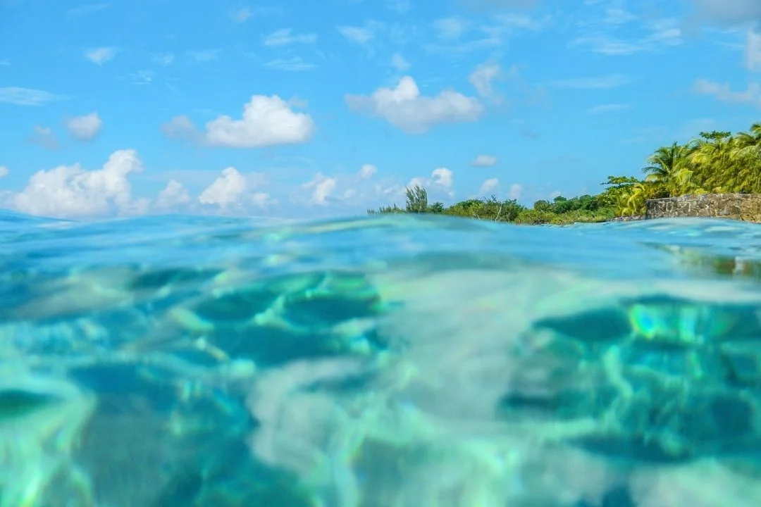 Crystal-clear waters in Cozumel