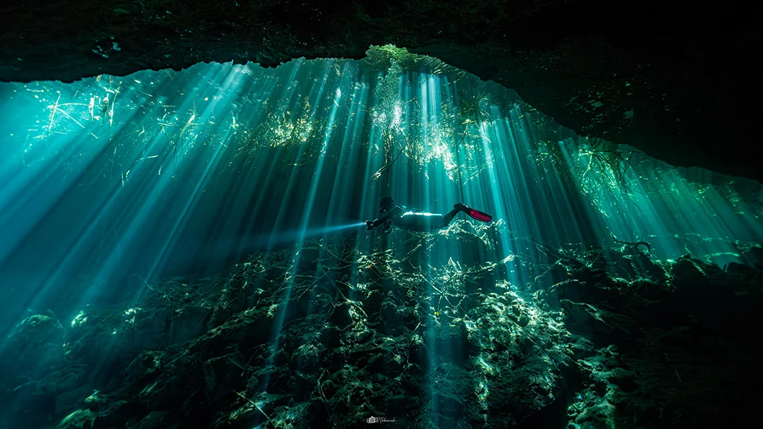 Diver exploring a cenote in the Riviera Maya