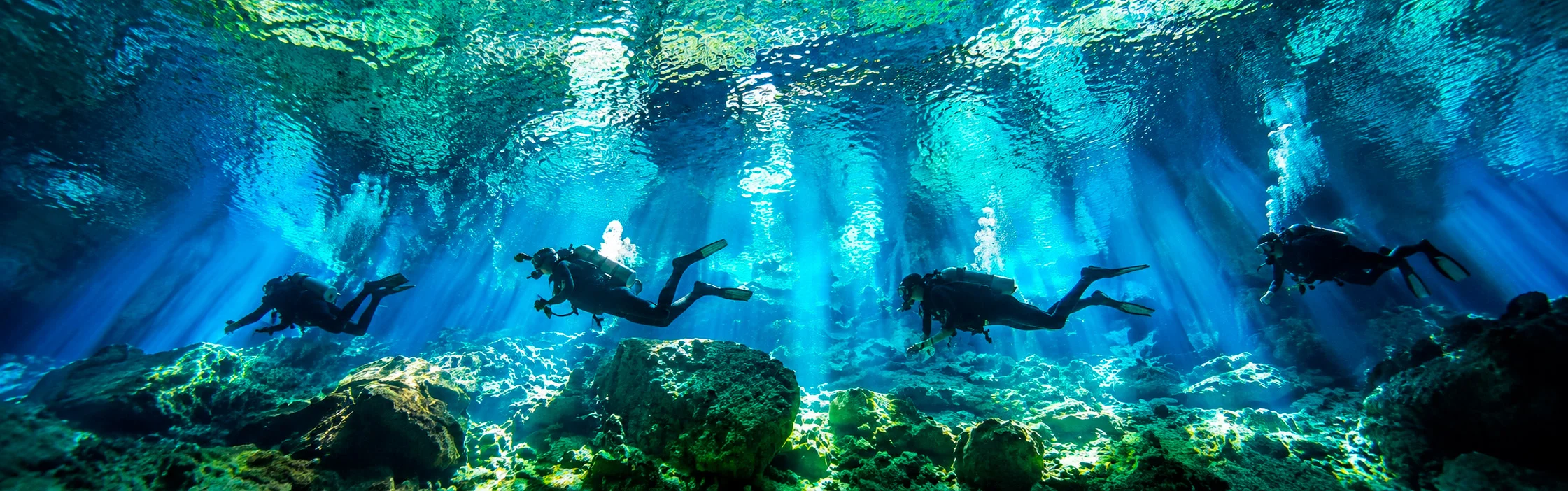 Cenotes de Riviera Maya