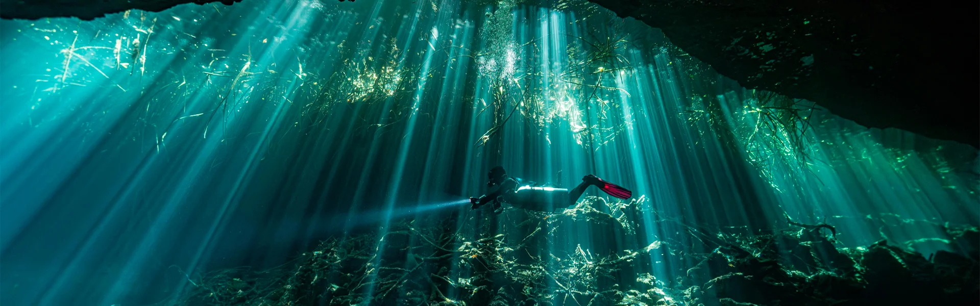 Cenote diving in Mexico