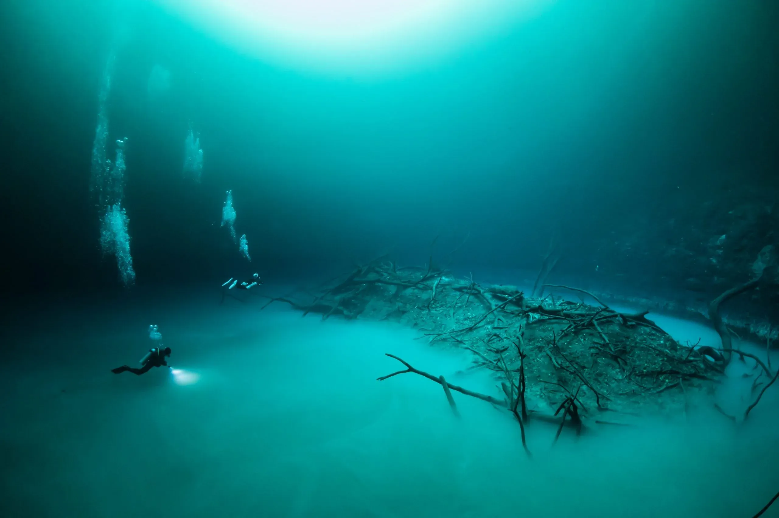 Scuba Alux Playa del Carmen diving rates
