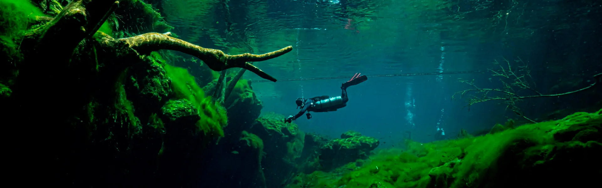 Cenote Jardín del Edén Playa del Carmen