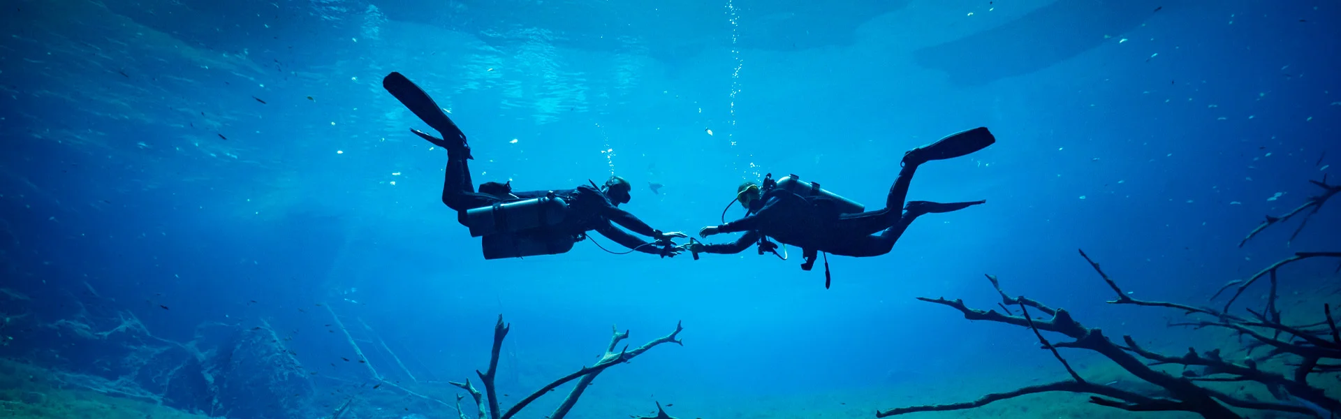 Flotabilidad en el buceo — control de flotabilidad en cenotes y arrecifes desde Playa del Carmen