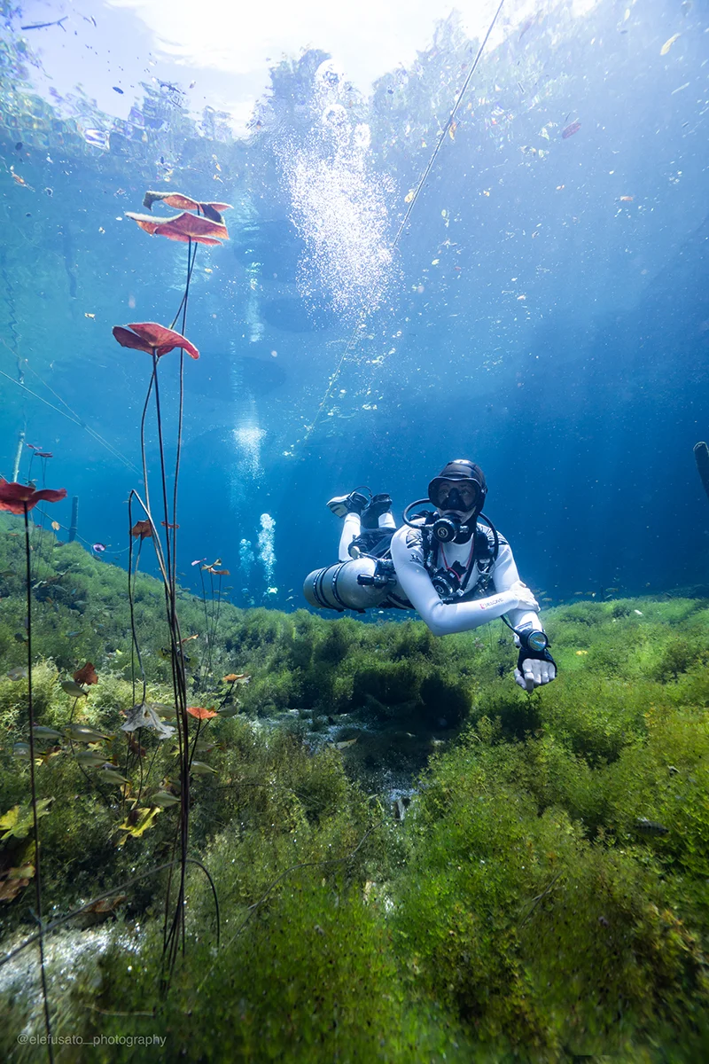 Diving in the cenotes of Mexico