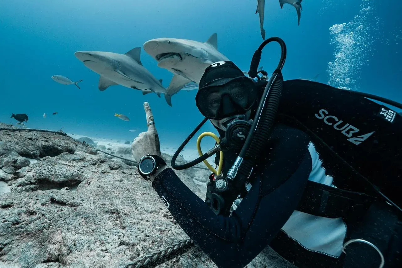 Bull shark encounter in Mexico — Scuba Alux