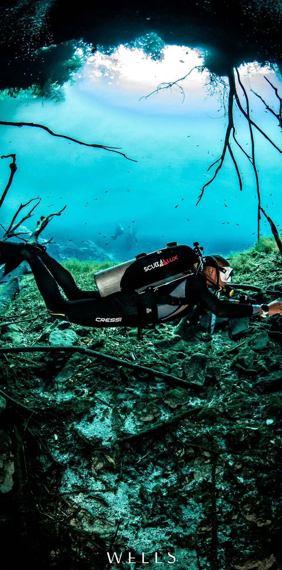Buceo en caverna de Playa del Carmen