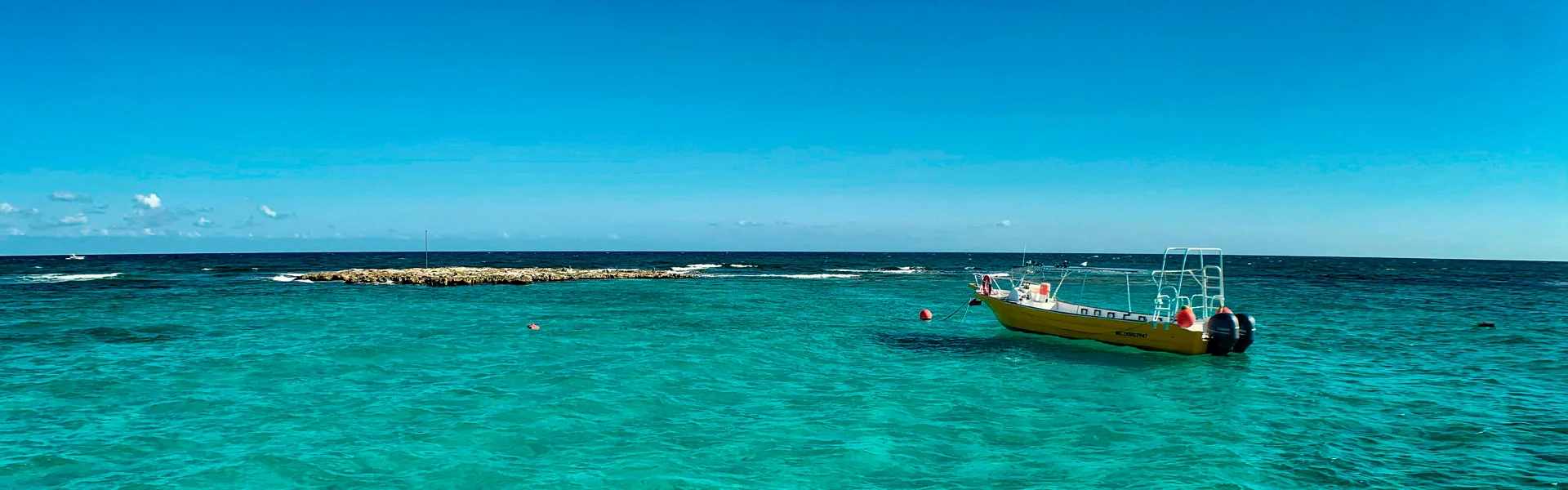 Best time to dive in Playa del Carmen