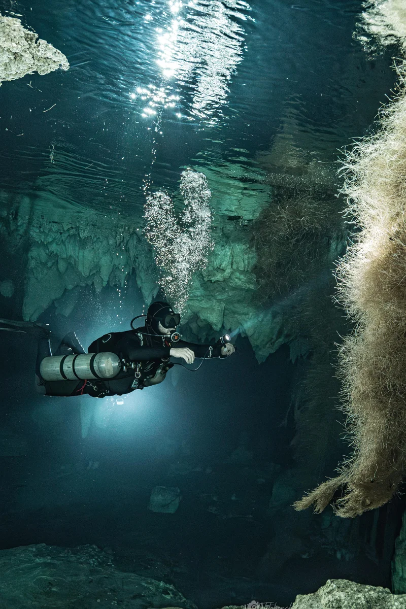 Buceo en cenotes de Playa del Carmen