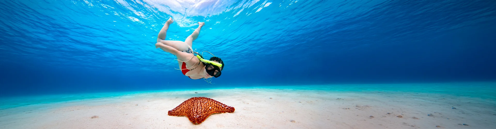 Snorkeling in Playa del Carmen