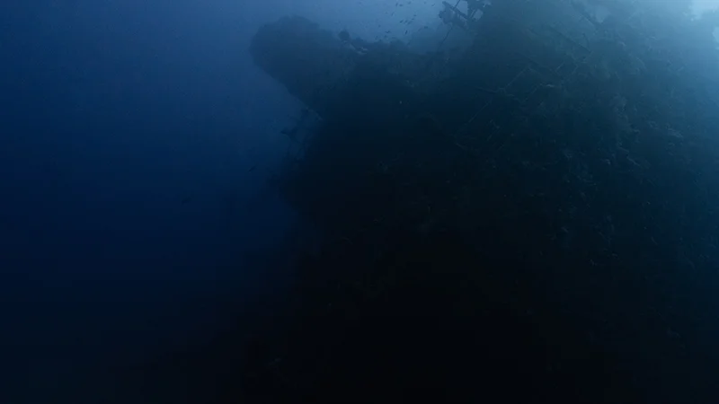 Liveaboard diving in the Red Sea